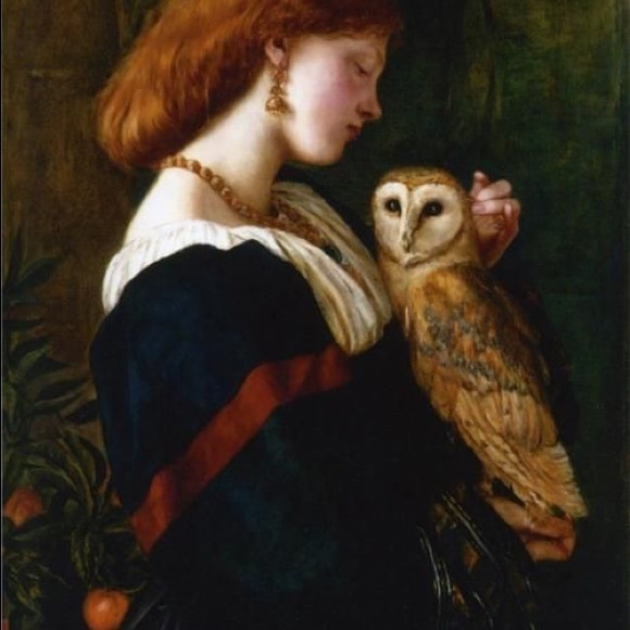 owlishbeauty
